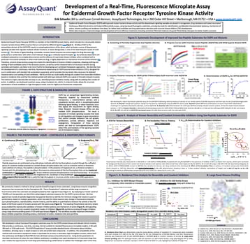 Epidermal Growth Factor Receptor EGFR Poster Epidermal Growth Factor Receptor EGFR Poster